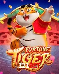 121BET.COM